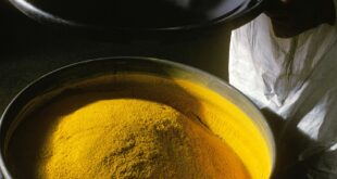 Australian Uranium Developers Advance Namibia’s Next Projects